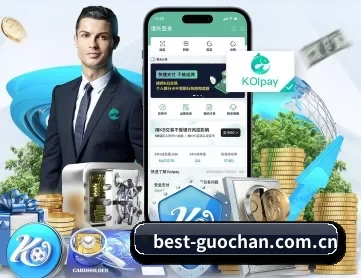 国产每日更新 APP 深度功能