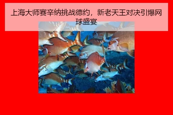 上海大师赛辛纳挑战德约，新老天王对决引爆网球盛宴