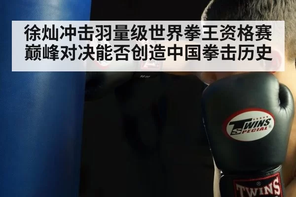 徐灿冲击羽量级世界拳王资格赛 巅峰对决能否创造中国拳击历史